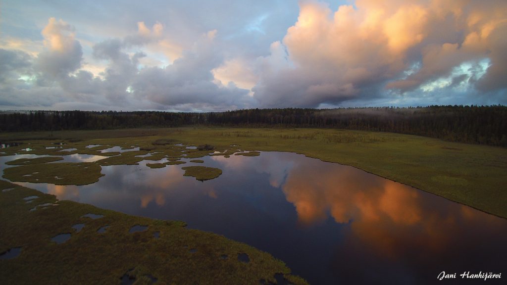 Tree Tent Kommee Kurki is located on the border of the nature reserve of the bird lake Hanhijärvi.